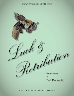 carl robinette crime fiction online flash luck & retribution cover free fiction online