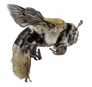 carl robinette crime fiction online flash luck & retribution free fiction online - fade