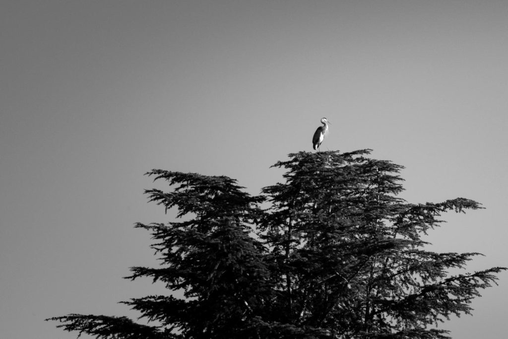 carl robinette poem for god or deities or something else you want it to be