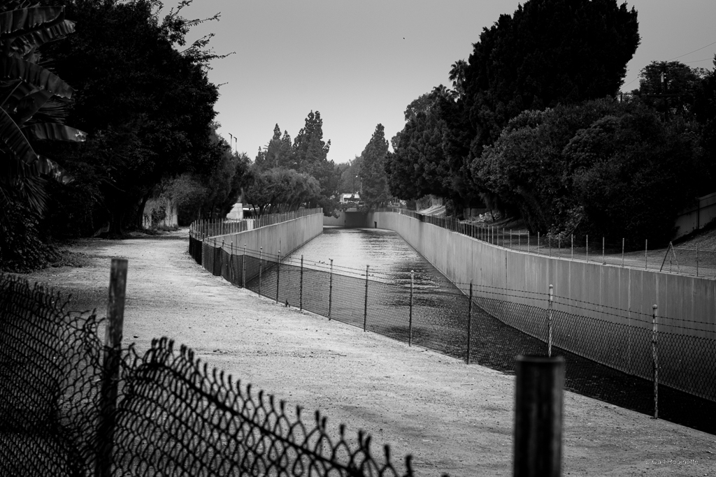 Debut Poems in Entropy&nbsp;Magazine