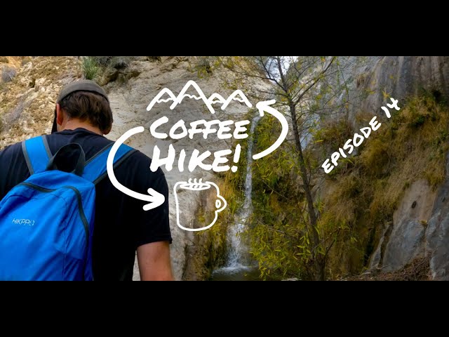 Coffee Hike 14 – Cascades, Deer, Lizards, Cool&nbsp;Geology