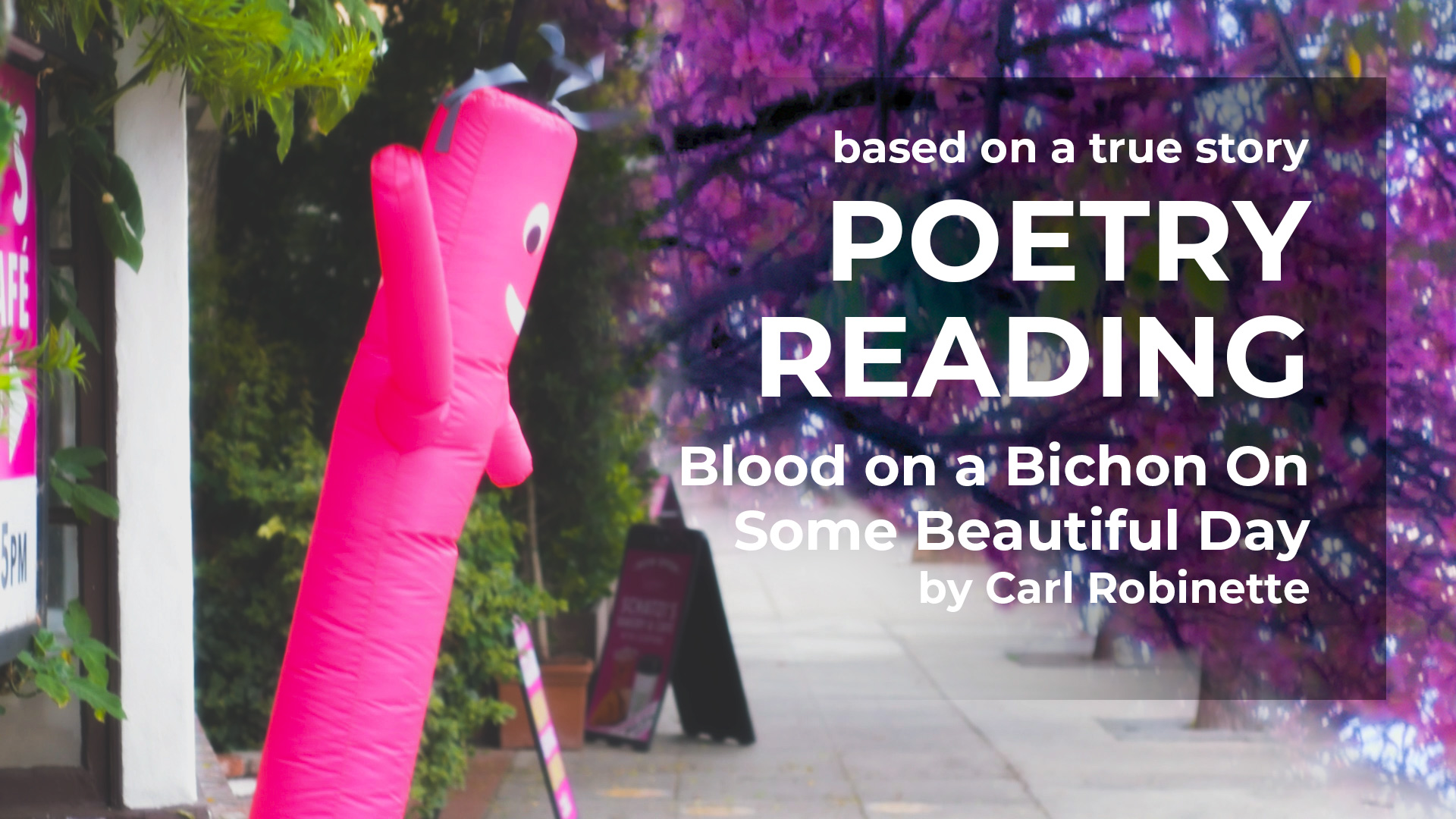 blood on a bichon poem reading by carl robinette